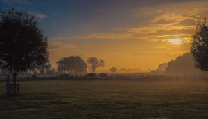 Sunrise zonsopkomst nevel