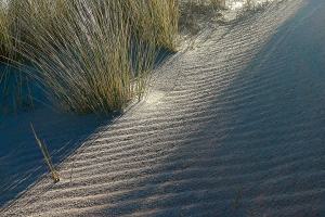 Heinz Schmedtz, strand met helmgras