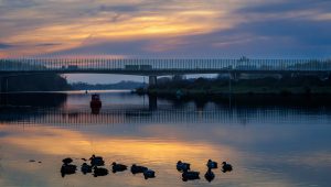 02Twan van den HomberghLangs de Maas Venlo