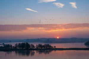 Hen Peeters, Zonsopkomst