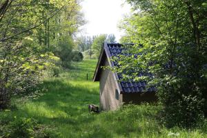 Afbeelding-001 resultaat1280