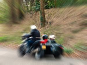 Wim Huijs, Boom en Quad beweging toegevoegd