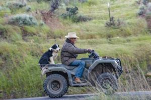Peter Hilberts foto2 Cowboy op quad met hond