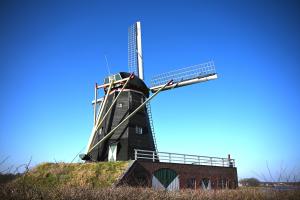 Jeu Hovens, Molen de Grauwe Beer