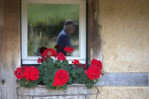 Piet Nijskens foto 2 Raam met geraniums