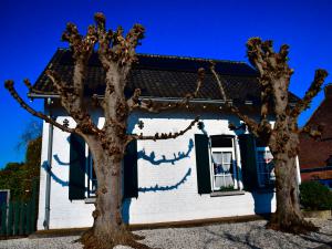 Hen Peeters, Knot bomen