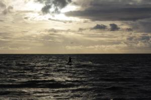 Manfred Schmitter , Foto 2 Windsurfer in zee